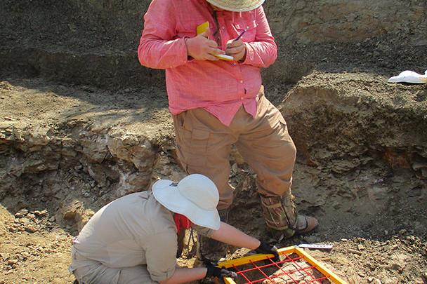 <a href='http://extqsi.jamunarbarta24.net'>bv伟德ios下载</a>学生在麦卡尔哈尼采石场测绘三角龙骨骼.